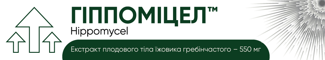 Гіппоміцел